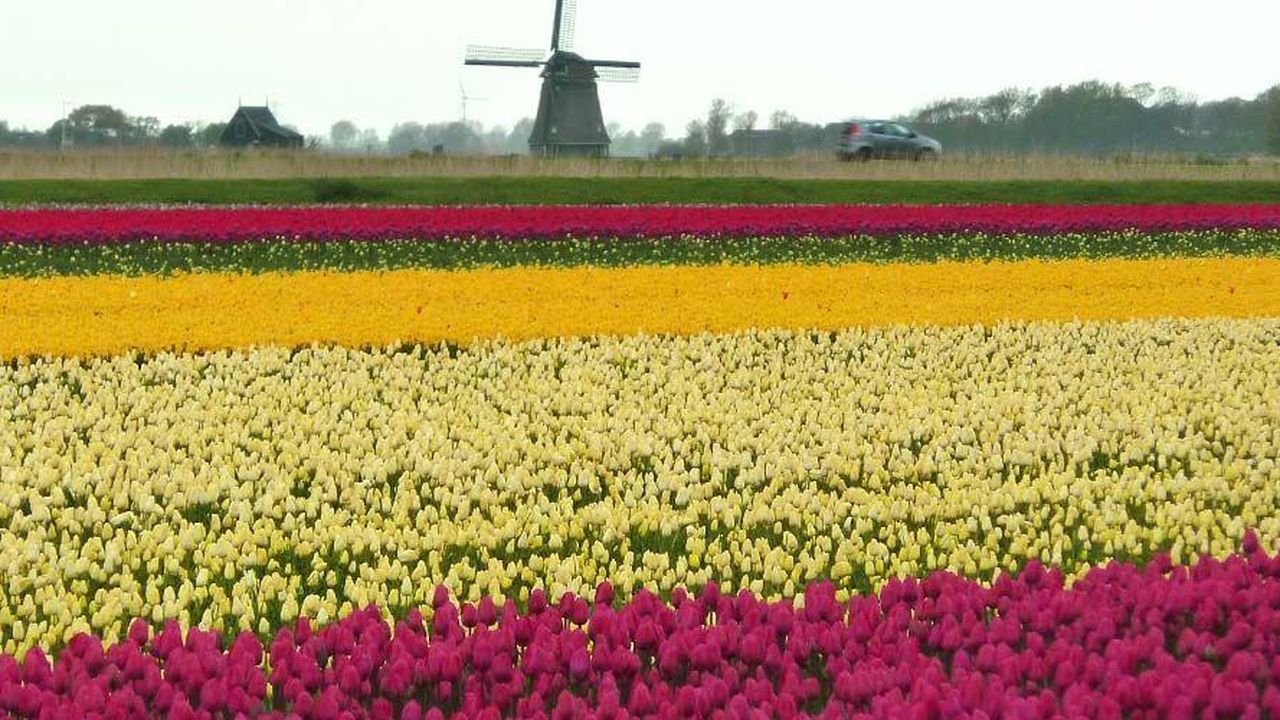 Bild 16 Bild 16
